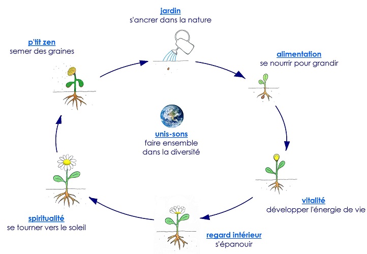 cycle d'une plante