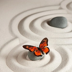 papillon sur cailloux zen