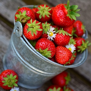 petit pot de fraises