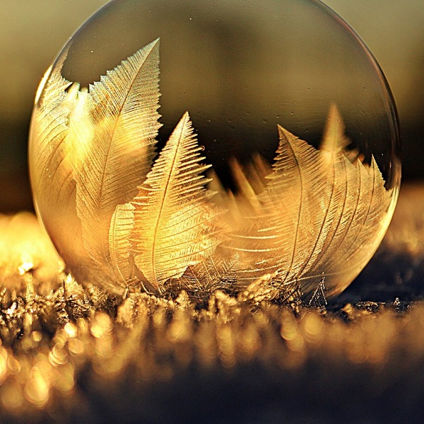 feuilles dorées dans boule de verre
