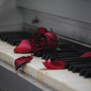 une rose sur les touches d'une piano