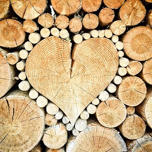 troncs de bois en forme de coeur