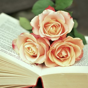 roses sur livre ouvert